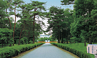 日本薬科大学