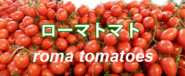 ローマトマト