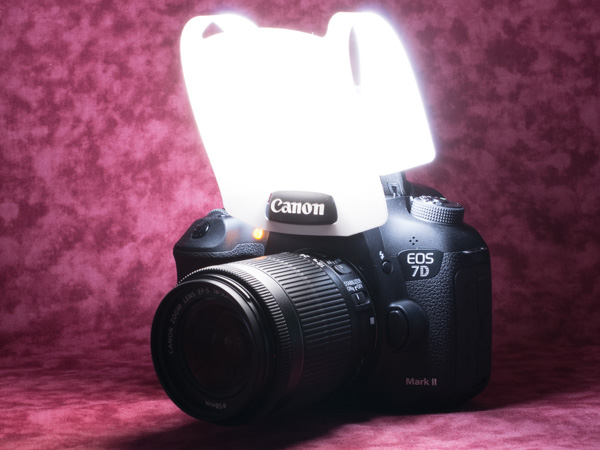 Canon EOS 7D Mark II Xg{fBt[U[ԂP