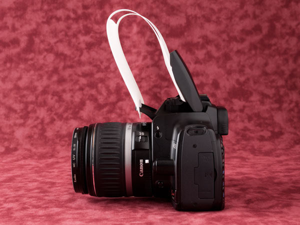 Canon EOS Kiss Digital X Xg{fBt[U[ԂR