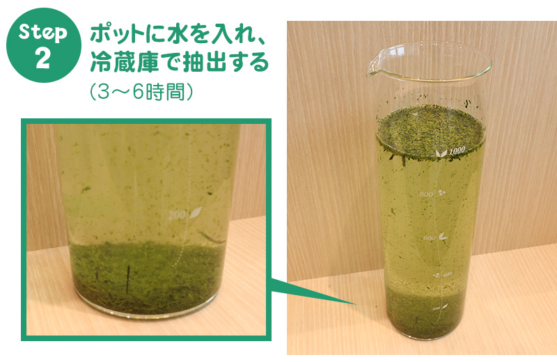 水出し茶ポットで水出し茶の作り方2 冷蔵庫での抽出時間