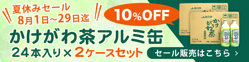 期間限定 夏休みセール お買い得価格で販売中！