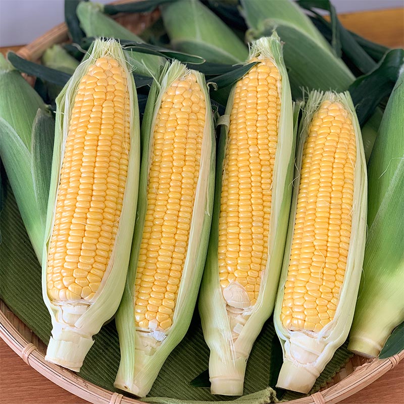 限定販売 新鮮野菜 ゴールドラッシュ
