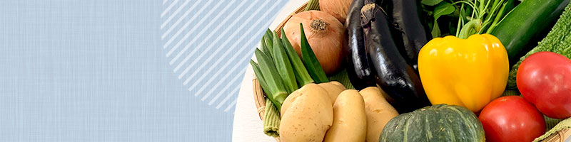 限定販売 新鮮野菜