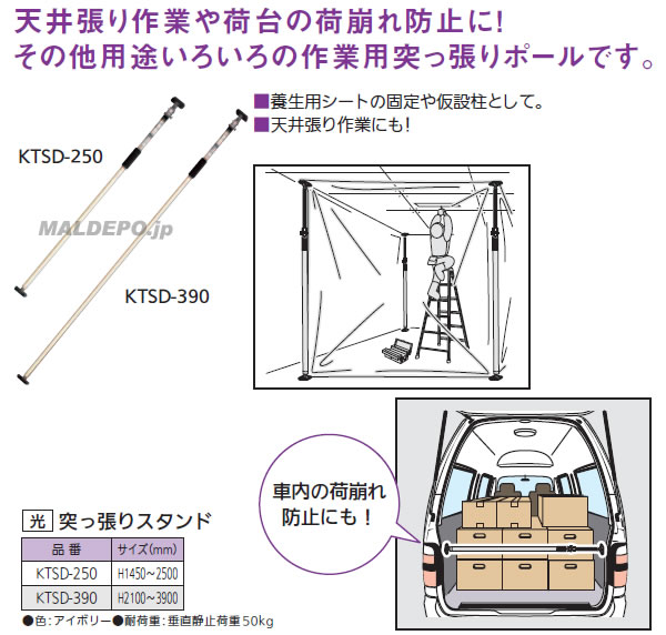 ͤĥꥹ ܥ꡼ KTSD-250