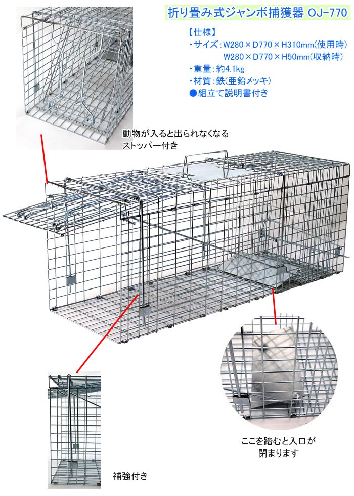 EIGERʥġ ʹ ޤ߼ OJ-770 W280D770H310mm