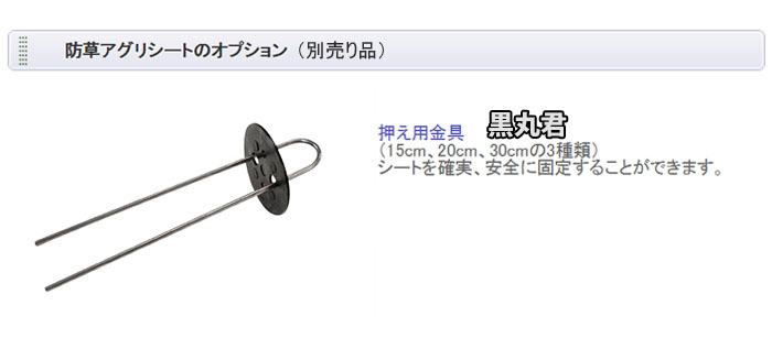 ܥ磻ɥ 𥷡 ꥷ 50cm100m BB1515 ¿Ū ֥åڸĿԲġ