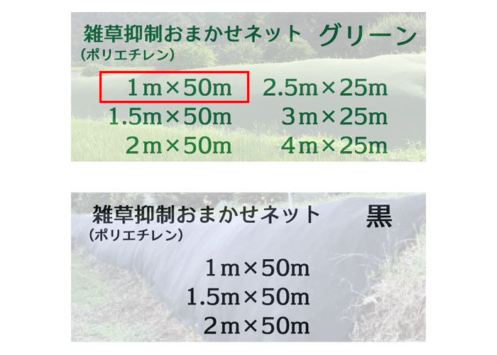 ޤͥå 1m50m  1 Ѹǯ8ǯ 