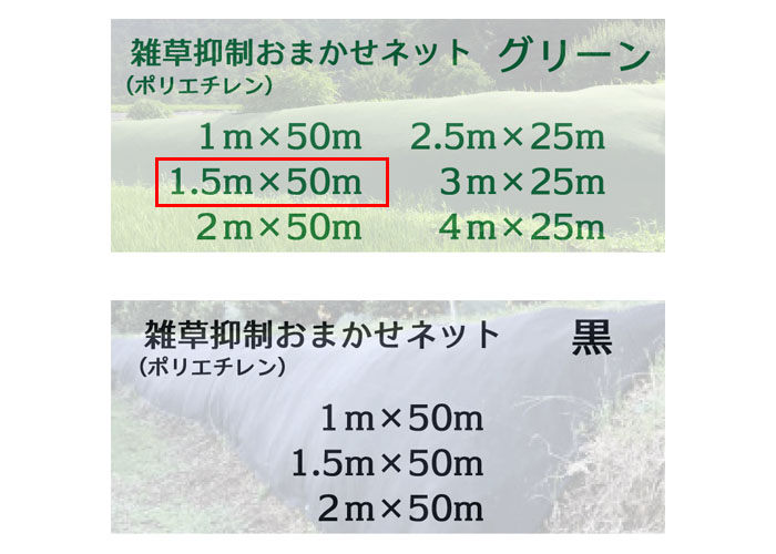 ޤͥå 1.5m50m  1 Ѹǯ8ǯ 