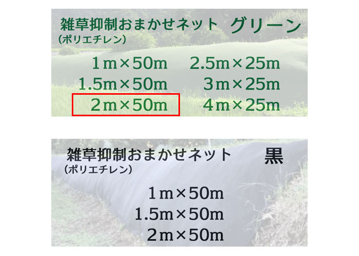 ޤͥå 2m50m  1 Ѹǯ8ǯ 