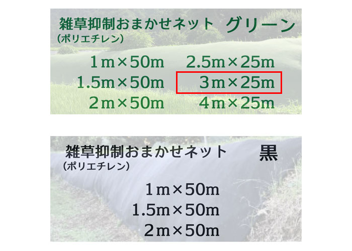 ޤͥå 3m25m  1 Ѹǯ8ǯ 