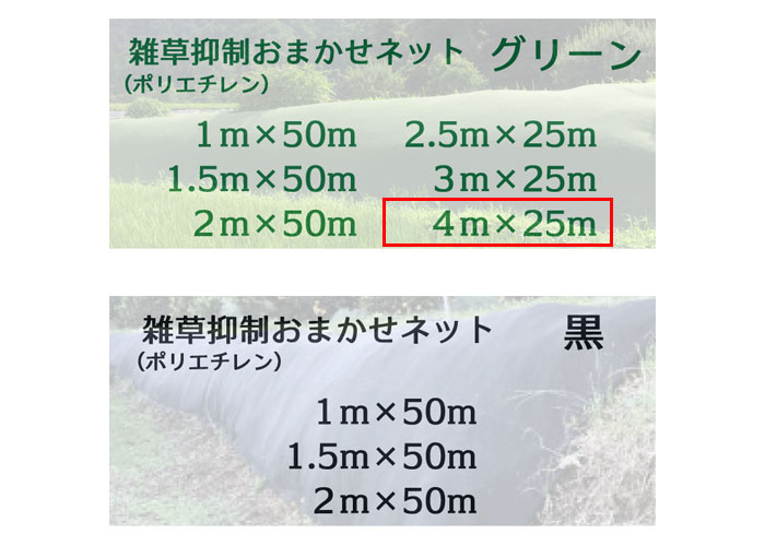 ޤͥå 4m25m  1 Ѹǯ8ǯ 