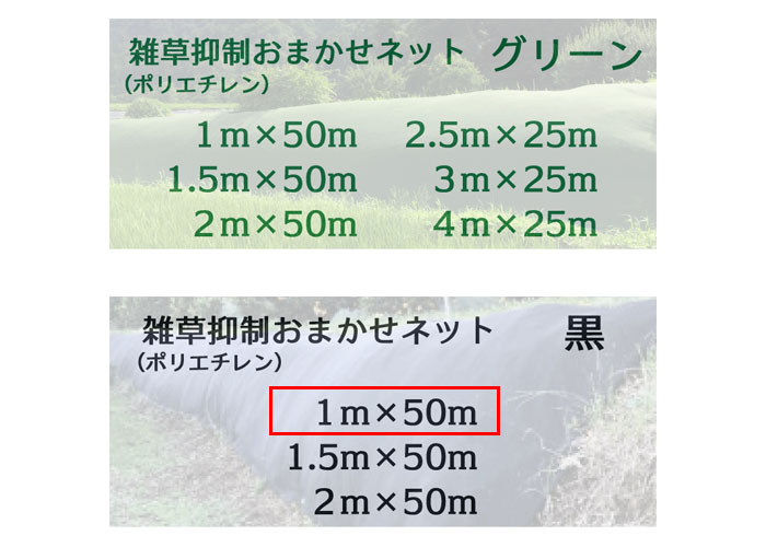 ޤͥå 1m50m  1 Ѹǯ8ǯ 