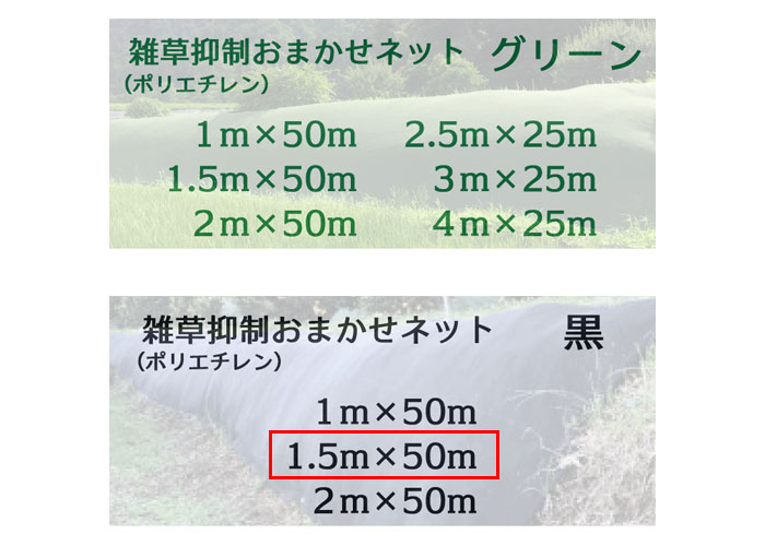 ޤͥå 1.5m50m  1 Ѹǯ8ǯ 