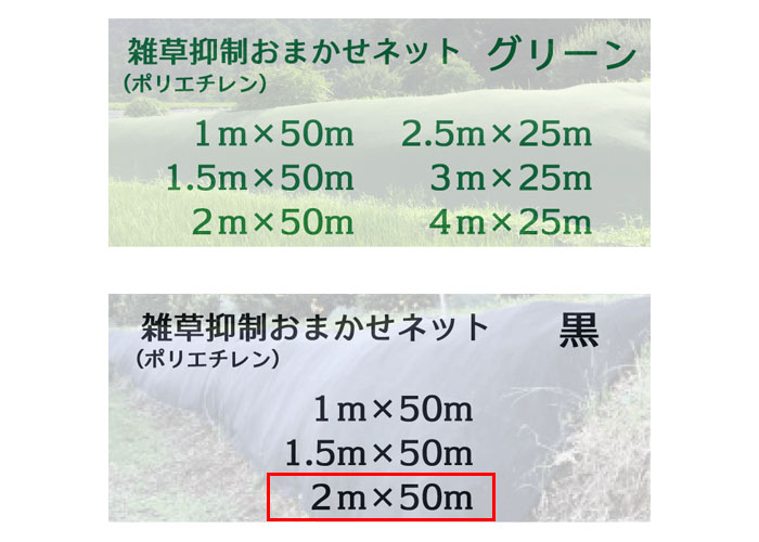 ޤͥå 2m50m  1 Ѹǯ8ǯ 