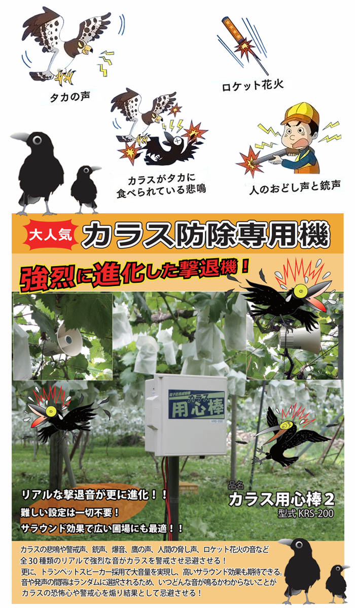 ¥ƥ 饹ѿ2 KRS-200 饹ɽѵ Ļк