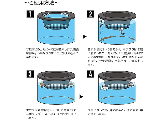 �ϥ����HATAYA/Ȫ�������� �ܥ��ե饹�ȥåѡ��Ф��㤤�� �緿������ BD-2L