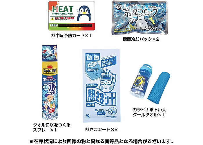 �֥쥤�� Ǯ���к����å� BR-810