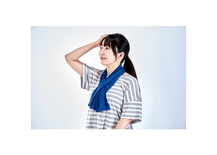 �ȥ饹��(TRUSCO) �����륿����(�̤����դ�)20X90cm CLBT-90