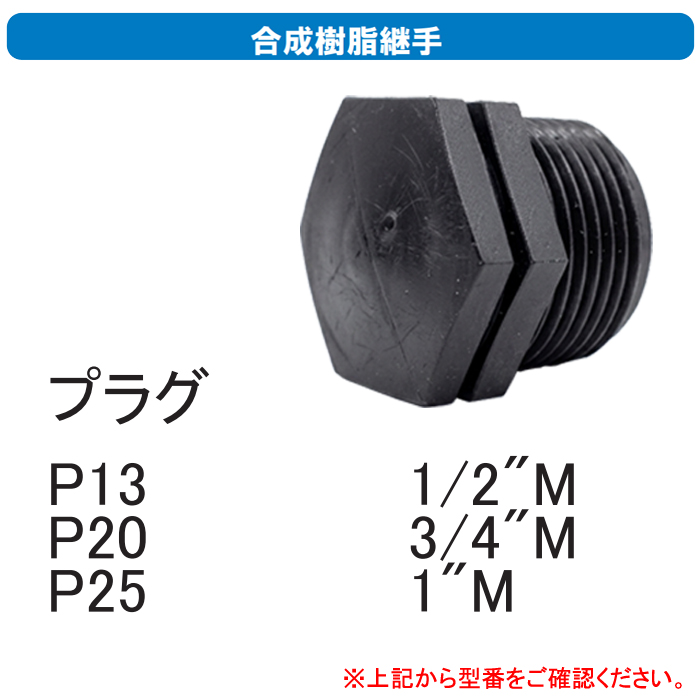 ����ۡ��� ��������Ѽ� �ץ饰4/3��������� P20