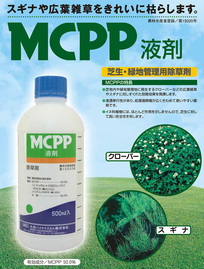 ���¥Х������ߥ��� MCPP �պ� 500mL ����� ������ �������С� ��������