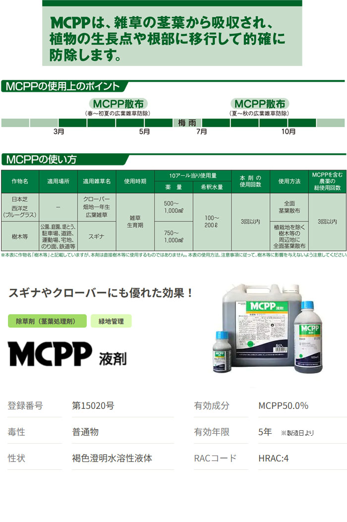 ���¥Х������ߥ��� MCPP �պ� 500mL ����� ������ �������С� ��������