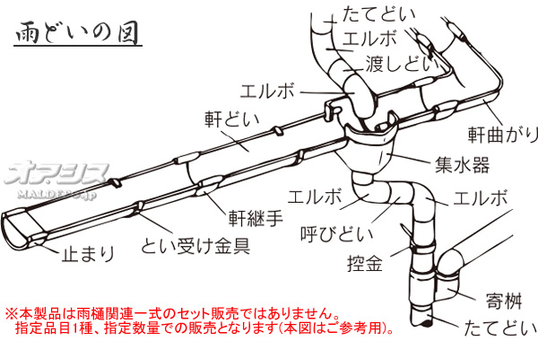 ѱɤ ե꡼ 60F 