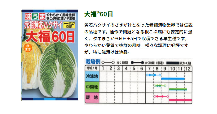 ȡۥ ڤμ  ʡ60 ޤ 㤢