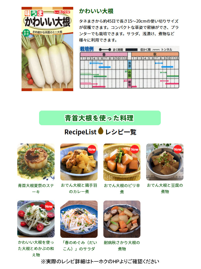 ȡۥ ڤμ 襤纬 Ϻ դޤ ޤ 㤢