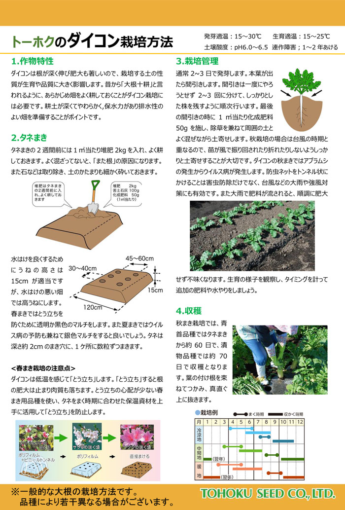ȡۥ ڤμ 礯纬  ޤ 㤢