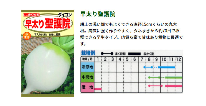 ȡۥ ڤμ 纬   ޤ 㤢