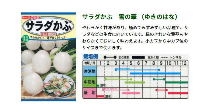 ȡۥ ڤμ  β դޤ ޤ 㤢