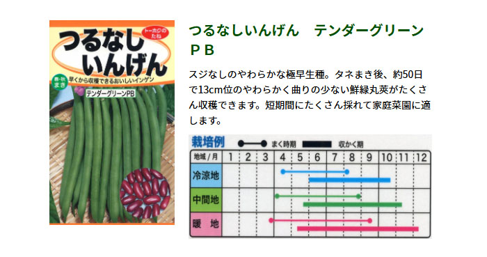 ȡۥ ڤμ Ĥʤ󤲤 ƥ꡼PB դޤ ޤ 㤢