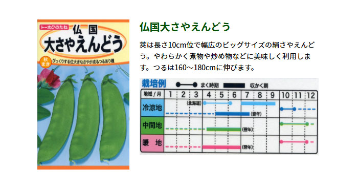 ȡۥ ڤμ ʩ礵䤨ɤ ޤ 㤢