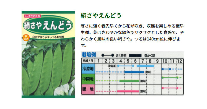 ȡۥ ڤμ 䤨ɤ ޤ 㤢