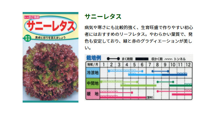 ȡۥ ڤμ ˡ쥿 դޤ ޤ 㤢