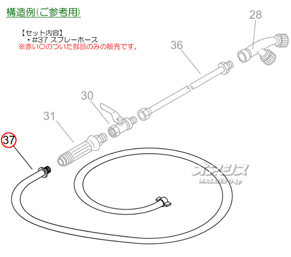 ޤӤ ץ졼ۡA (echo) ߥưʮ AS10E/AS10EC/AS10L/AS10LA