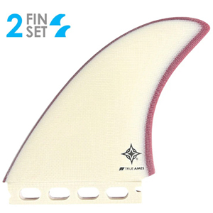TRUE AMES WAYNE RICH TWIN FIN Futures COMPATIBLE (�A�C�{���[/���b�h)