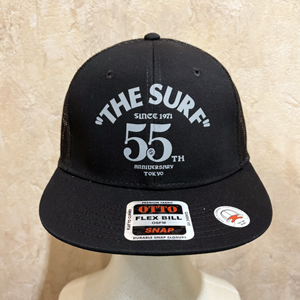 PS2602-005 CAP �i�u���b�N/�O���[�j